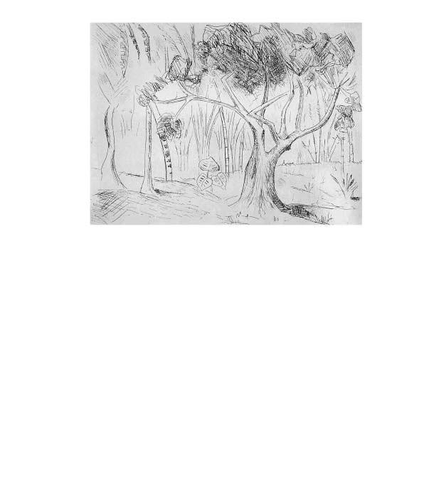 PAISAGEM (árvores) s.d. Água-forte, P.A., 24,8 x 32,8 cm ass.
