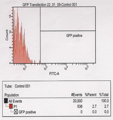 para a expressão da GFP - debris (seta);