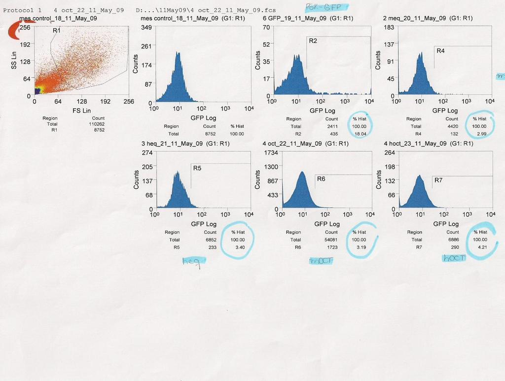 72 a b A B C D E F Figura 19. Citometria de fluxo para direcionar a expressão do gene da GFP (CTE). a) debris; b) população de células analisadas para expressão da GFP.