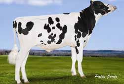 15 HA -, 12/2015 MOGUL x OBSERVER x SHOTTLE - Especialista em Saúde - Touro Repromax - Excelente Perfil Linear com Destaque para Sistema Mamário das filhas + 678 + 714 +