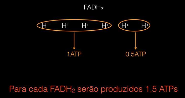 Bioenergia: