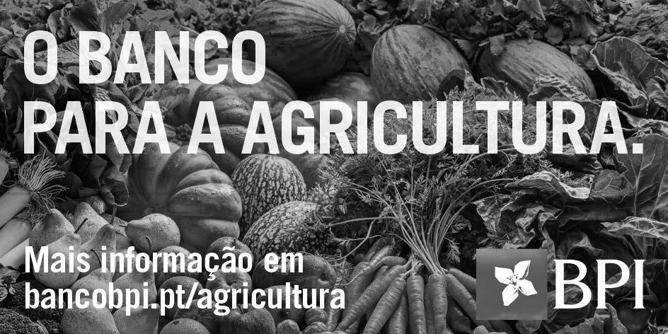 Concurso Nacional de Bovinos de Raça Mirandesa (Cont.