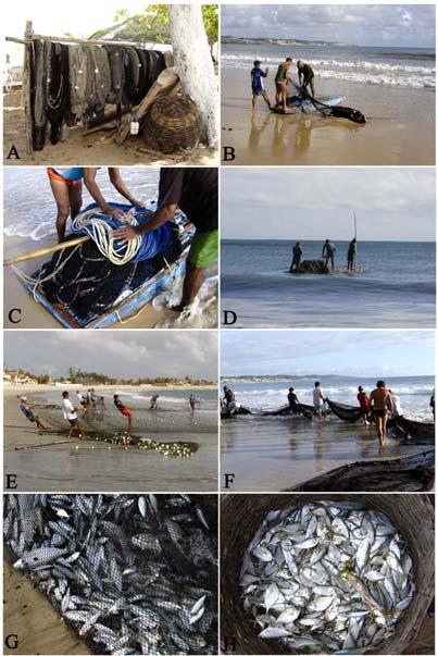 25 Figura 6. Atividades de pesca artesanal nas praias de Natal, Rio Grande do Norte.