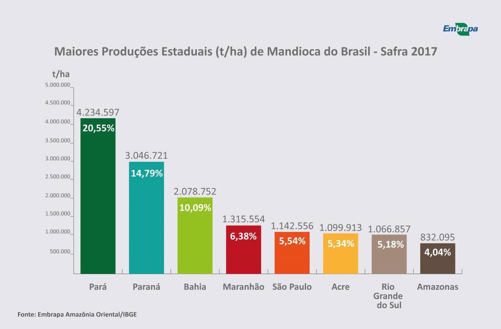 Estados do Brasil Produção de Mandioca (t) À semelhança do que acontece nas regiões Norte e Nordeste, somente os estados do Pará, Bahia, Maranhão, Acre e Amazonas respondem por 46,40 % da produção