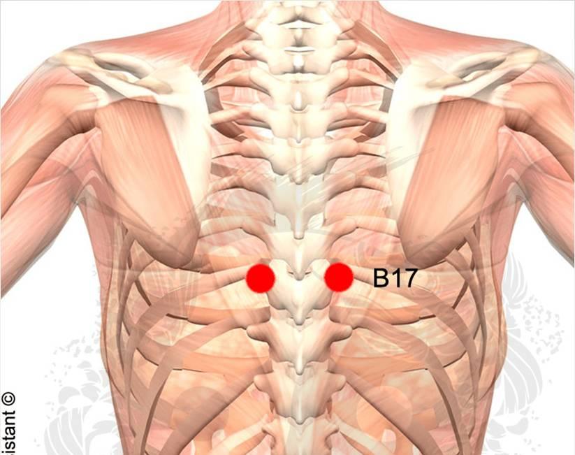 B17