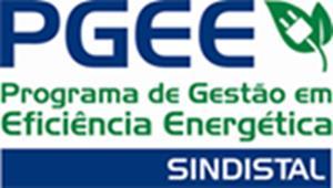 PGEE Programa de Gestão em Eficiência Energética Engloba os diversos serviços necessários ao melhor atendimento do