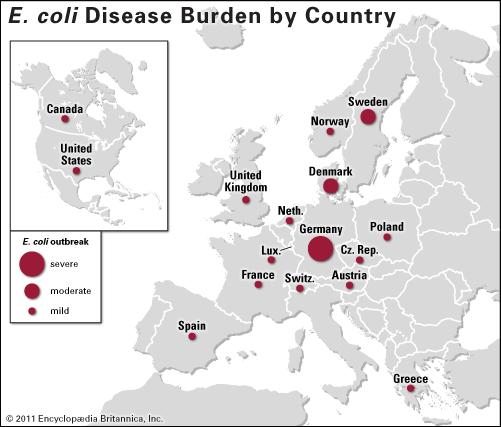 E. coli O104:H4 Europa Período Maio a Julho 2011 1º surto de EAHEC > surto de STEC 3842 afetados 2987