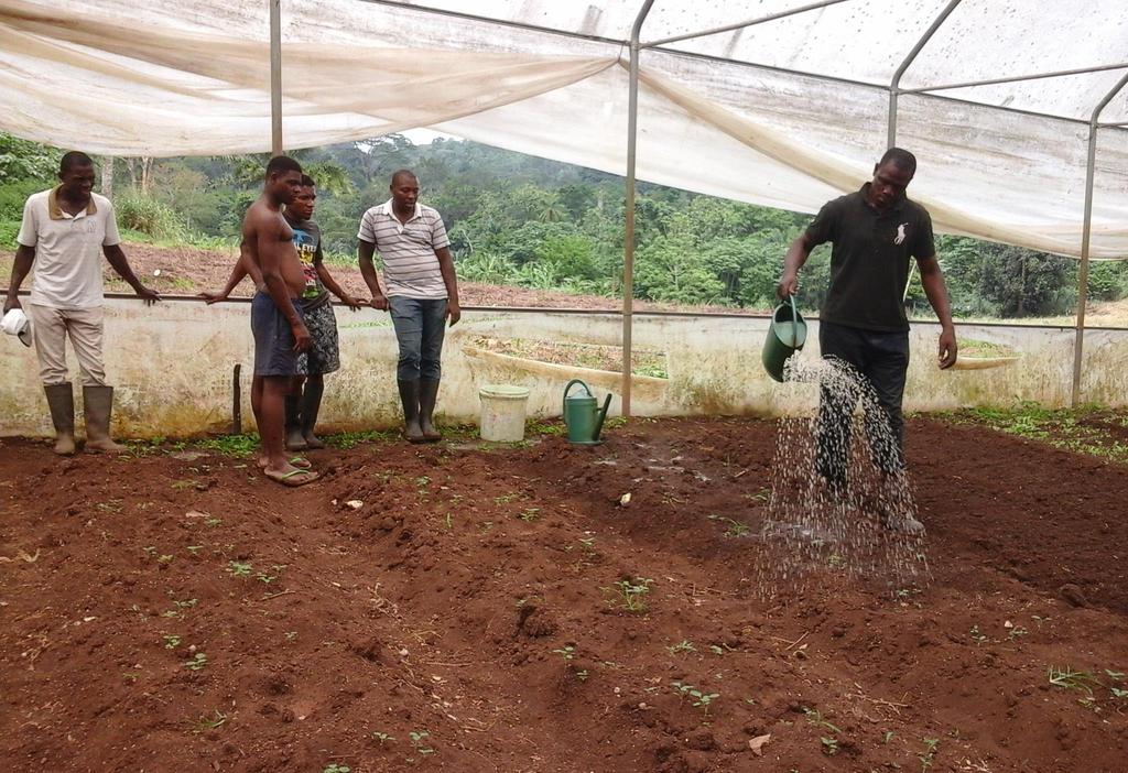 Serviços de Extensão rural apoiando os Produtores no Melhoramento do Solo