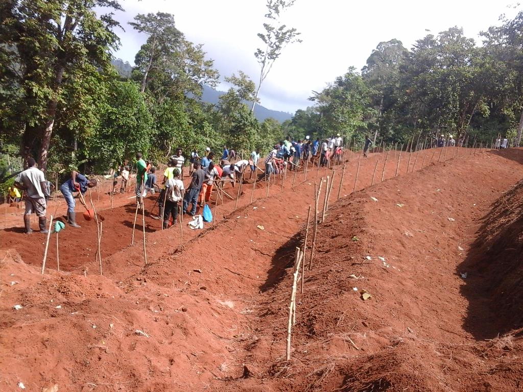 Projectos de Melhoramento de Solos em BOM SUCESSO Uma Comunidade Rural Pioneira na Produção de Alimentos