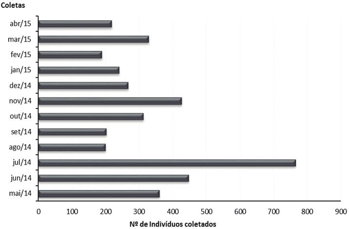 48. Silva et al 2007), sendo considerado insetos predominantes na maioria dos ecossistemas terrestres (Alonso & Agosti, 2000).