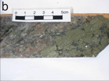 41 correspondem a placas de muscovita. Esses minerais ocorrem amplamente nas rochas do halo de alteração como cristais ripiformes e tabulares de granulação fina (Fig. 5.1b e 5.3a,b). Figura 5.