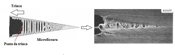 FIG 2.46: Esquema representativo de uma região fraturada do material polimérico contendo microfissura ENGEL et. al.
