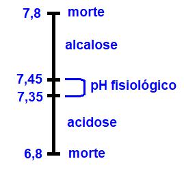 10. (UEL) Nos seres humanos, o ph do plasma sanguíneo está entre 7,35 e 7,5, assegurado pelo tamponamento característico associado à presença das espécies bicarbonato/ácido carbônico de acordo com a