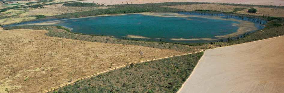 C A D B Figura 5 Vista aérea do limite da área de estudo(a) mostrando uma plantação de soja(b), a Lagoa Bonita(C) e uma área natural de cerrado stricto sensu(d). Foto: Carlos Terrana.