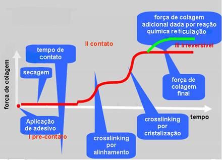 38 ligação entre o adesivo e a superfície colada, enquanto a segunda ocorre com a penetração do adesivo nos poros do substrato e posterior retenção do adesivo solidificado nestes poros (como se