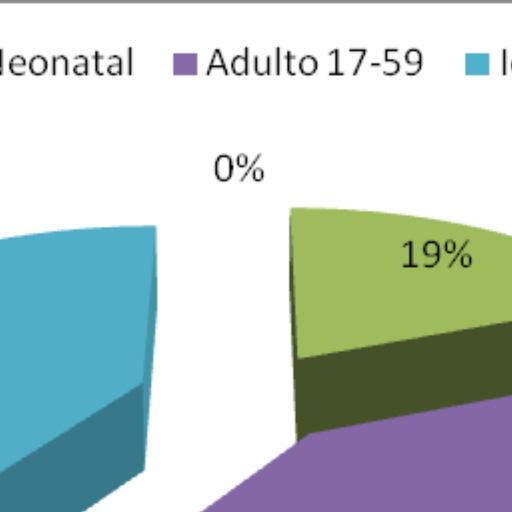 O atendimento neonatal somou 480 solicitações; adultos (17-59 anos) somam 999 solicitações; e idosos (60-98