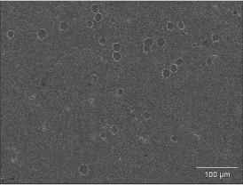 indicadas pelas setas O pulso de corrente de 90% forma um filme mais uniforme com poucas cavidades na superfície externa da camada de Zn-La.