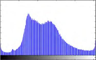 georeferenciada depois do pré-processamento e (h) Seu histograma