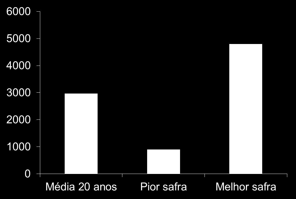 safra Produtividade do milho