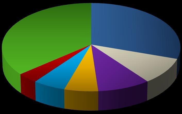 000 t Demais 36% China 30% 2005 756 2006 1.