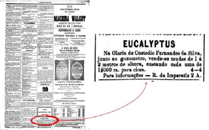 NOSSA HISTÓRIA É LONGA Jornal A Província de São Paulo 20 de julho de 1875 Fonte: FIBRIA