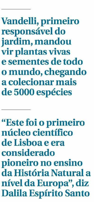 Viajar por cinco continentes sem sair de Lisboa Património. O Jardim Botânico da Ajuda tem uma árvore única na Europa, um dragoeiro com 400 anos e mais de 1 600 plantas.