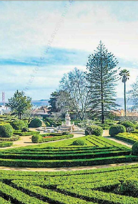 de buxo geometricamente desenhados pelos dois jardineiros que diariamente aí trabalham. "Essa é a visita dos 3 anos. Quando encontram os príncipes, há rebuçados.