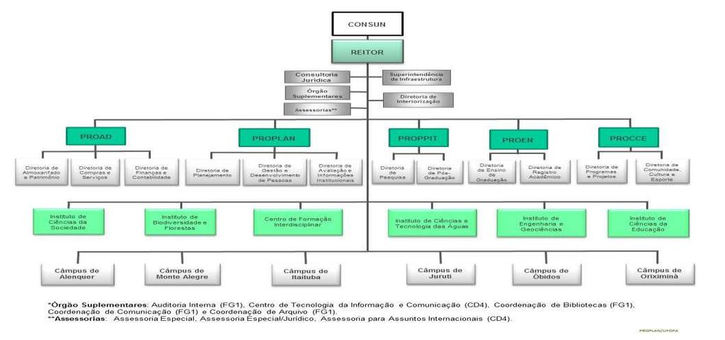 1.3 Organograma Funcional