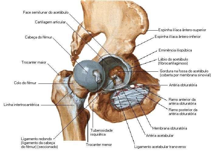 QUADRIL: