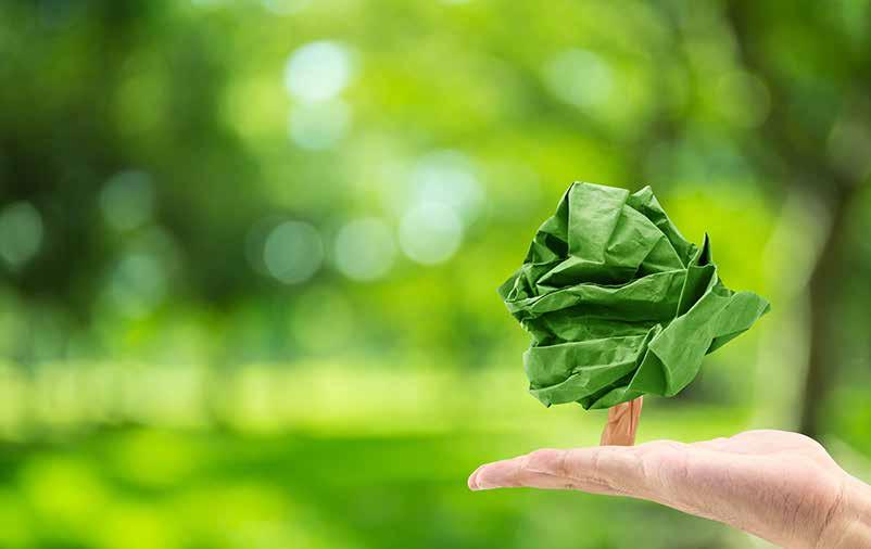 " Todas as flores do futuro estão contidas nas sementes de hoje.