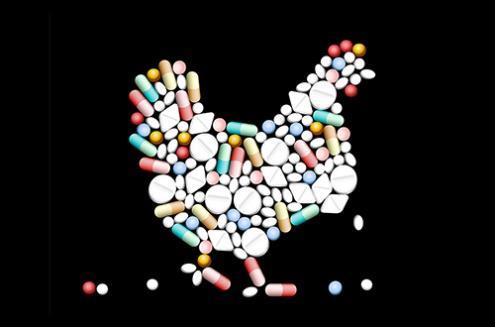 Nos EUA, só em 2014, foram utilizados mais de 13 mil toneladas de antibióticos na produção de animais Fatores que promovem o aumento