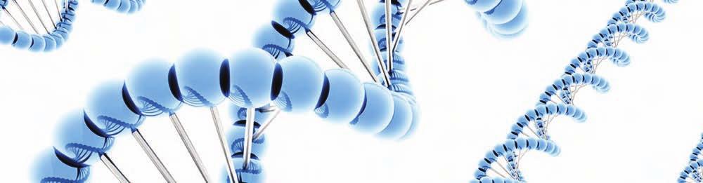 O DNA humano possui aproximadamente 3 bilhões de bases nucleotídicas e a sequência das bases armazena as informações genéticas dos seres humanos.