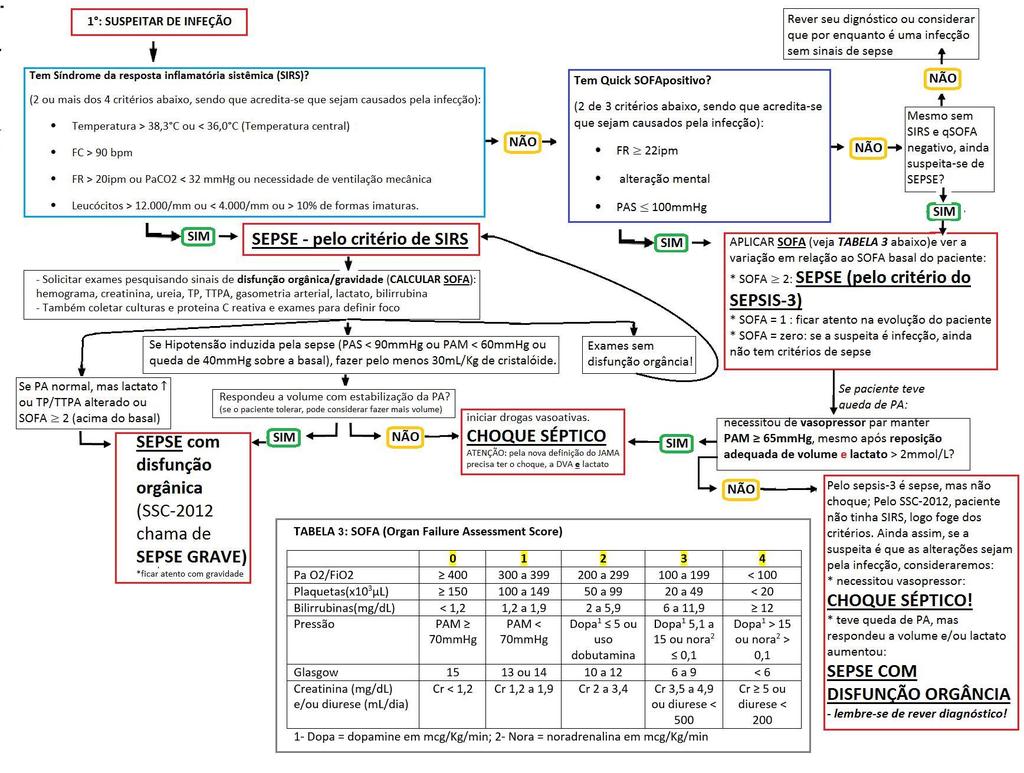 Fluxograma 1: Diagnóstico da sepse e choque séptico na emergência.