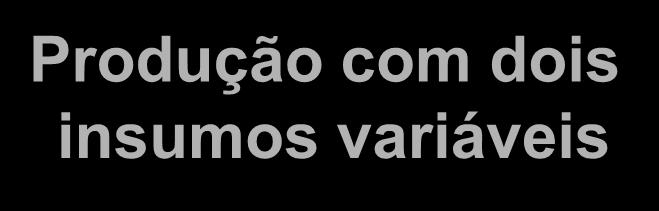 Produção com dois insumos variáveis Produção com dois insumos variáveis Trabalho Capital 1 2 3 4 5 1