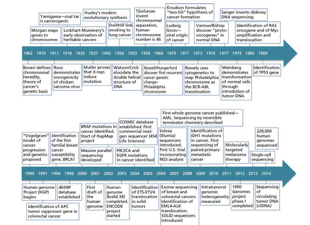 * * * * Evolução da Genômica do Câncer * Massive parallel sequencing Ilumia sequencers