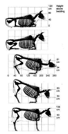 Ca+Prot = 45% Complexado = 5% 500Kg = 7,5Kg de Cálcio Wilkens et