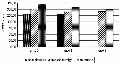 Quantificação das perdas no desenvolvimento de Pinus taeda após o ataque de formigas cortadeiras 43 FIGURA 2: Desenvolvimento em altura (cm) de plantas de Pinus taeda durante 18 meses, após os