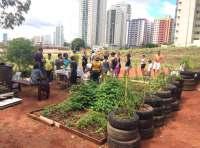 Conﬁra algumas ações realizadas: Articulação e apoio para doação de caixa d' água, insumos e construção de uma mandala de hortaliças na horta