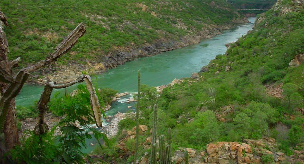 Caso do Rio São Francisco - Eletrobras Chesf Na Bacia Hidrográfica do Rio São Francisco conflitos pelo uso da água são comuns.