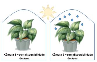 3. Ao realizar um experimento, um pesquisador utilizou duas plantas iguais, colocou cada uma delas em câmaras separadas e fechadas, com iluminação e temperatura constante.