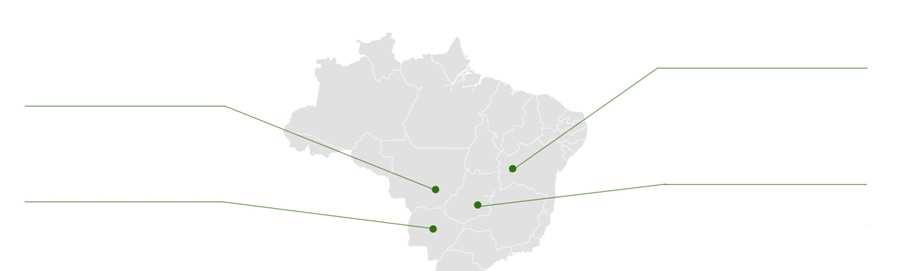 O MERCADO DE TERRAS NO BRASIL Mato Grosso -Pastagem: USD 3.700/ha -Fazenda Paiaguás: USD 7.100/ha Mato Grosso do Sul -Pastagem: USD 3.800/ha -Fazenda Planalto: USD 11.