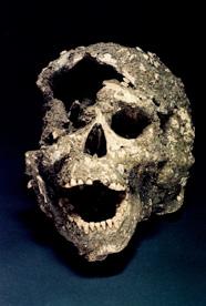 Marisa Coutinho Afonso 1968). Este sambaqui continha artefatos osteodontomalacológicos, artefatos líticos e esqueletos.