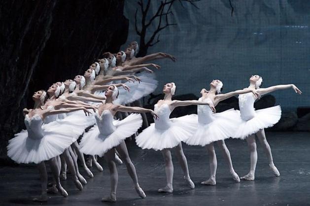 É o lar do Ballet Mariinsky (antigo Kirov Ballet), da Ópera Mariinsky e da Orquestra Mariinsky.