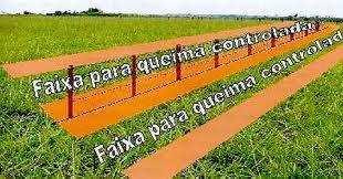 (B) combinação. (C) isolamento. (D) resfriamento. (E) redução gradativa. Professor, pelo amor de Deus, o que é esse tal de aceiro?