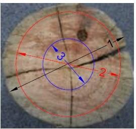22 4 MATERIAIS E MÉTODOS As frações do poste (C e G) foram seccionadas em discos de aproximadamente 200 mm de espessura.