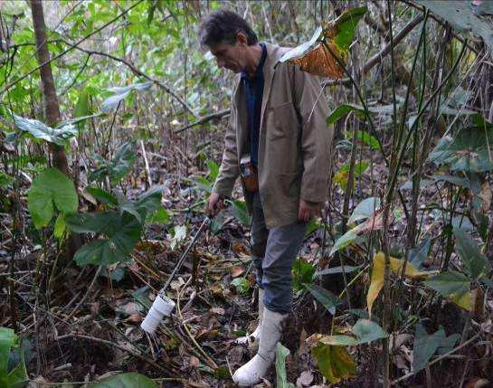 Técnica de coleta utilizando armadilha de Shannon, Recanto Barro Preto EP 3, município de