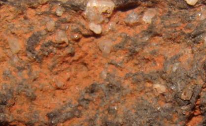 A areia média apresenta praticamente os mesmos elementos encontrados no antiplástico de areia grossa, no entanto, estes aparecem com menor granulometria e em menor quantidade.