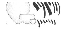 Bordas: não reforçada Bases: A,B,C Abertura (cm): 8-74 Lábio: arredondado, aplanado Espessura parede (cm): 0,5-3,0 Possição na seriação: toda Obs.