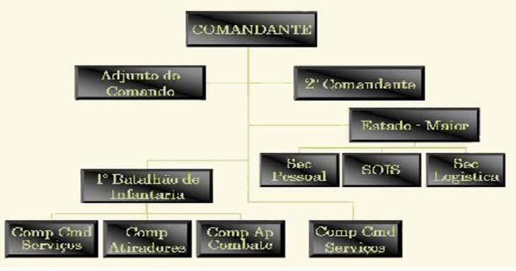 Com entrada em vigor da Nova Lei Orgânica do Exército, em 2006, e a extinção das Regiões Militares decorrente do processo de transformação o RI13 passou a estar sob o comando da Brigada de