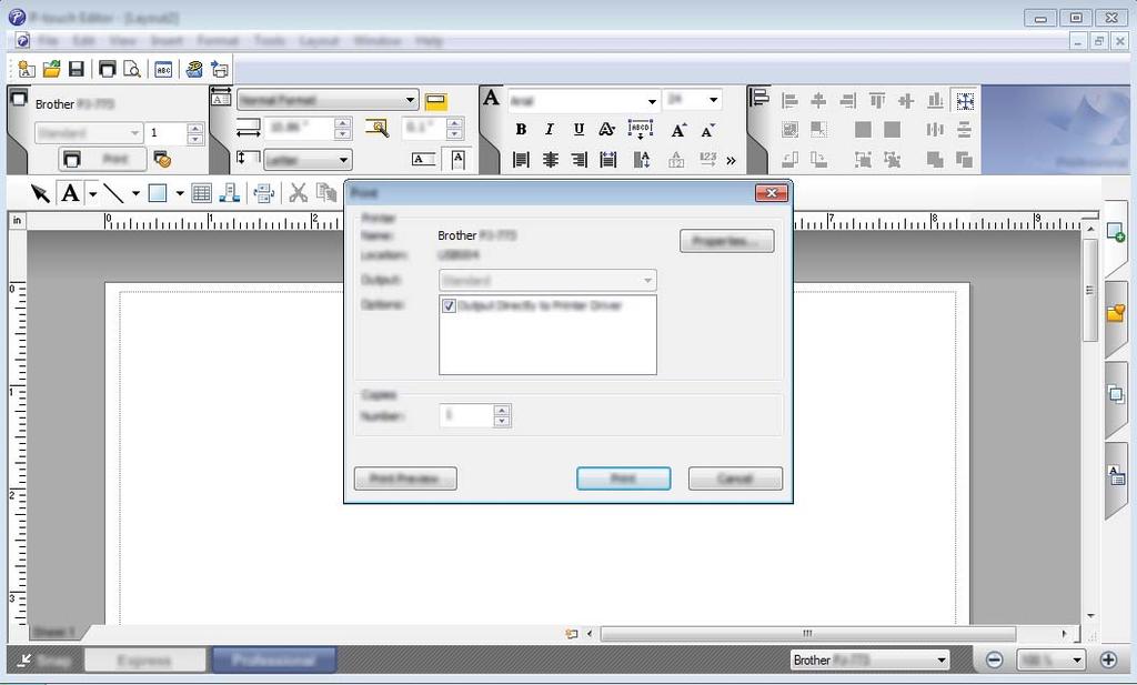 (Configure as definições de impressão no ecrã [Imprimir] antes de imprimir.) Modo Professional 6 Este modo permite-lhe criar esquemas utilizando uma grande variedade de ferramentas e opções avançadas.